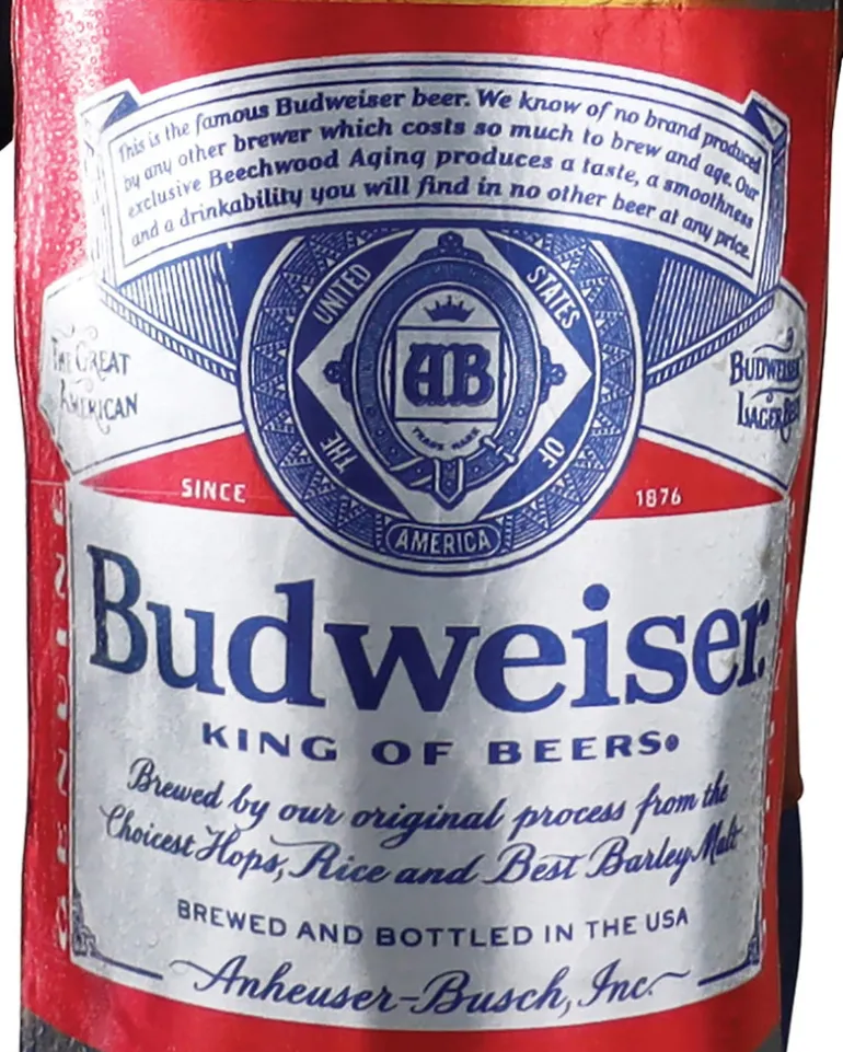 Adults Anheuser-Busch Budweiser Beer Bottle Costume