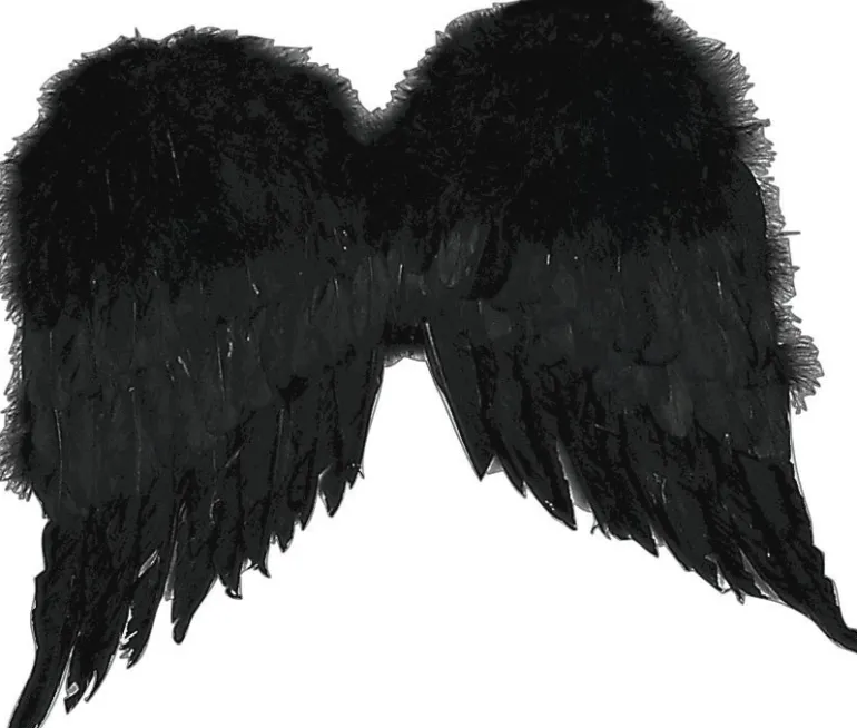 Black Feather Wings Costume Accessory