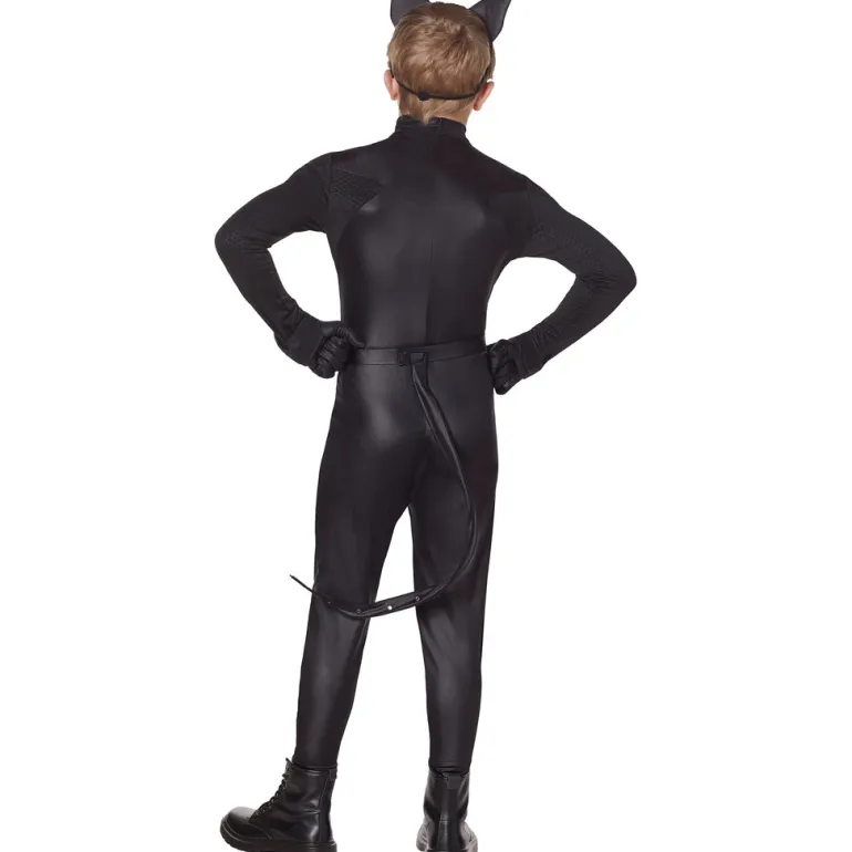 Kids Miraculous Ladybug Cat Noir Costume