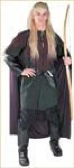Mens Lord of the Rings Legolas Greenleaf Costume